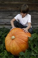 boy with huge pumpkin - Alex Mares-Manton