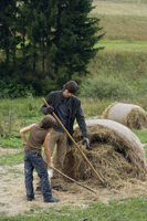 father and son hoeing hay - Alex Mares-Manton