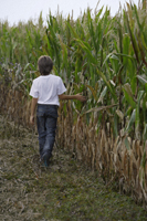 boy walking along corn field - Alex Mares-Manton