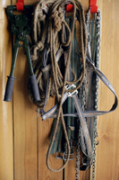 Horse riding reigns and ropes - Alex Mares-Manton