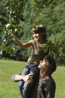 father holding son up to pick apple from tree - Alex Mares-Manton