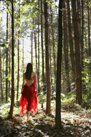 Woman in red dress walking through forest - Alex Mares-Manton