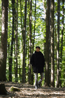 Young man walking in forest - Alex Mares-Manton
