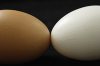 brown egg and white egg - Ellery Chua
