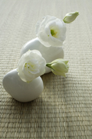 Two vases with white lisianthus blooms - Nugene Chiang