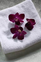 purple orchids on top of spa towel - Nugene Chiang