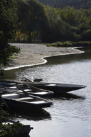 row boats in river - Alex Mares-Manton
