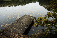 wooden pier in pond - Alex Mares-Manton
