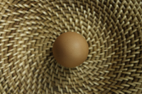 Brown egg in basket - Ellery Chua
