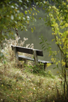 Wooden bench at side of lake - Alex Mares-Manton