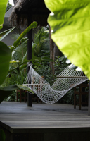 Empty hammock in tropical setting - Alex Mares-Manton