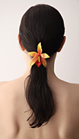back of woman's head, ponytail with orchid - Nugene Chiang