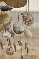 wind chime made of seashells - Alex Mares-Manton