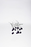 blueberries in water - Nugene Chiang