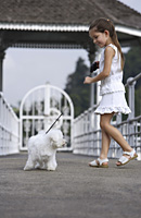 young girl walking white dog on leash - Nugene Chiang