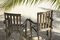 pair of chairs under palm tree - Alex Mares-Manton