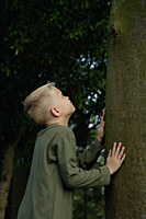 young boy looking up tree trunk - Nugene Chiang