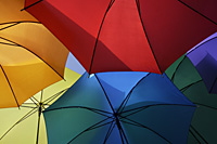 a variety of open umbrellas - Nugene Chiang