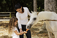 mother and daughter feeding carrot to horse - Nugene Chiang