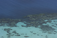 coral reef off tropical island, Indonesia - Alex Mares-Manton