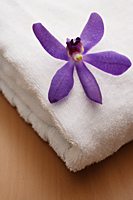 Purple orchid on white towel. - Nugene Chiang