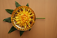 Yellow flower in bronze bowl. - Nugene Chiang