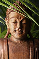 Closeup of wooden Buddha's face. - Nugene Chiang