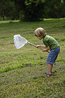 Little boy trying to catch insects in a net. - Nugene Chiang