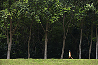 woman walking in yellow dress under trees. - Alex Mares-Manton