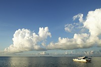 boat in the ocean with clouds and blue sky as background - Alex Mares-Manton