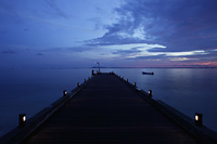 wooden pier with sunset in distance - Alex Mares-Manton