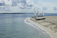 sail boats moored on sandy beach - Alex Mares-Manton