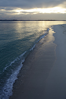 sunrise reflecting on empty beach - Alex Mares-Manton