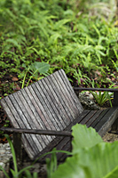 wooden bench surrounded by plants - Alex Mares-Manton