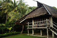 wooden thatched house with coconut trees in background - Alex Mares-Manton