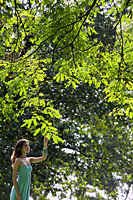young woman touching leaves of tree - Alex Mares-Manton