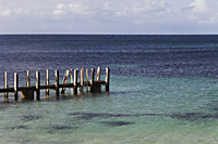 wooden pier in ocean - Alex Mares-Manton