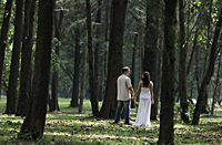 rear view of woman and man holding hands in forrest - Alex Mares-Manton
